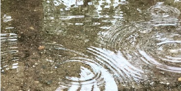 AGUA