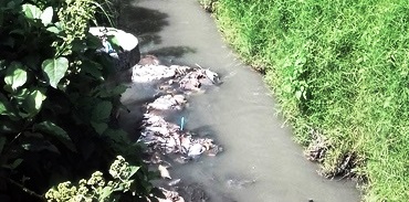 ARROYO CONTAMINADO