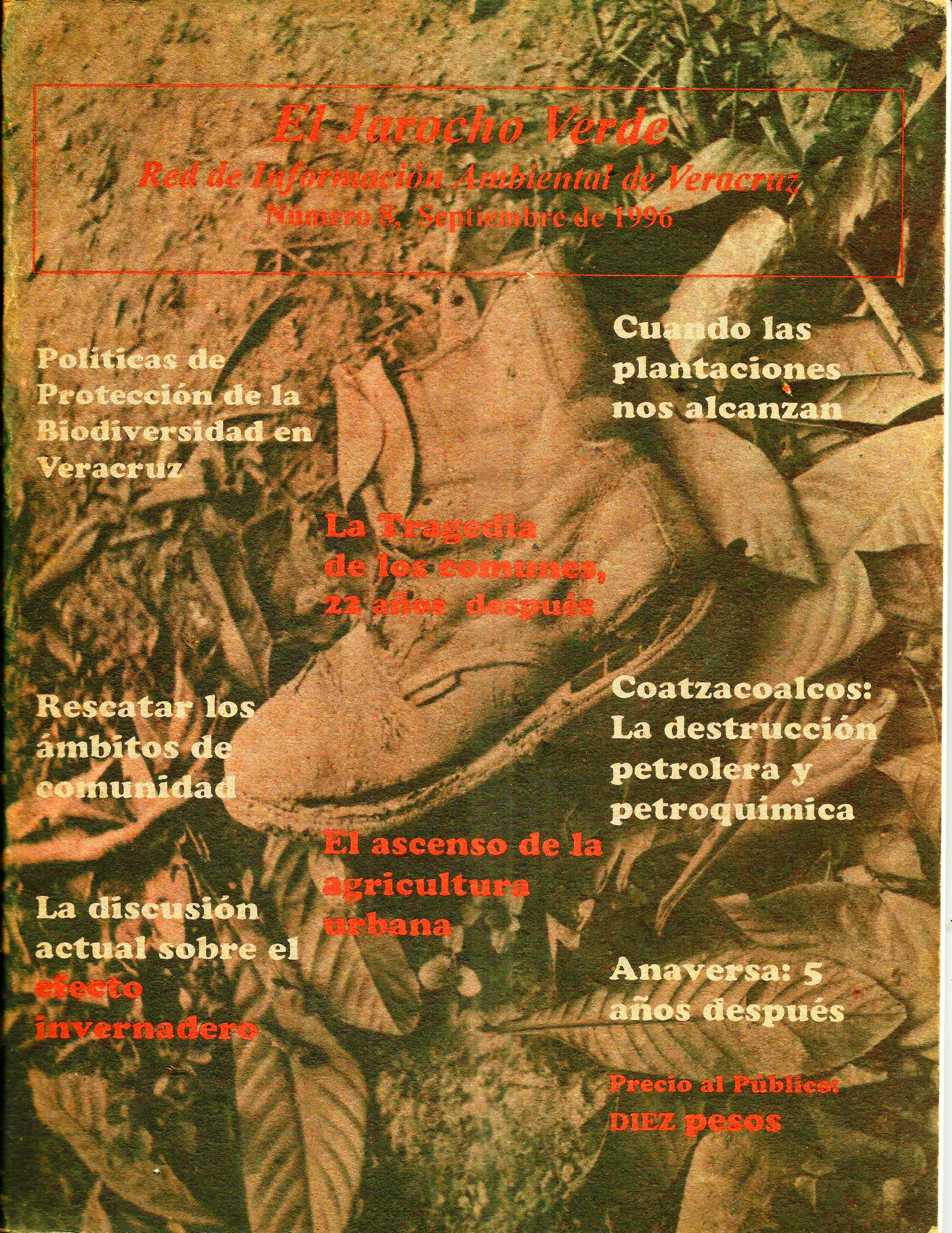 Portada JV 8
